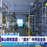 山东泰钢集团雅鹿山综合水处理厂的出水可以养起金鱼